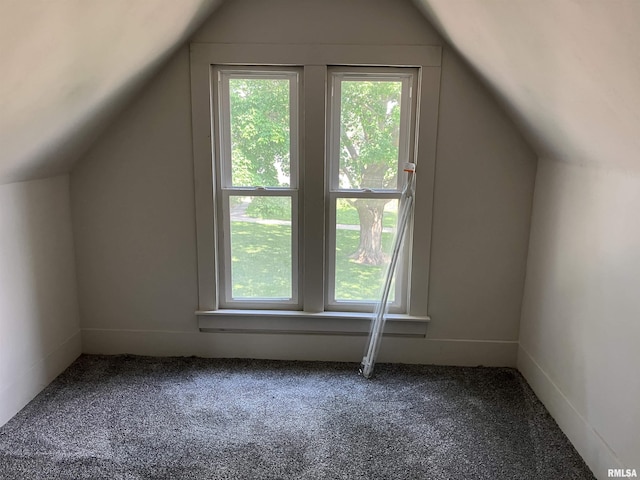136 W Mill St, Kewanee, IL 61443 - bonus room with vaulted ceiling and carpet floors