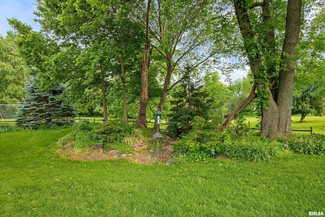 1100 Wild W Dr, Le Claire, IA 52753 - view of green lawn