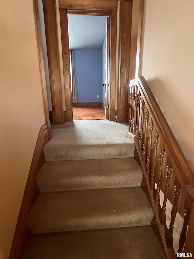 1109 S Michigan St, Davenport, IA 52802 - staircase featuring carpet flooring