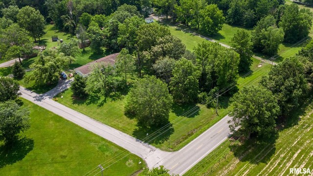 12535 Blackberry Hills Ln, Marion, IL 62959 - photo 19