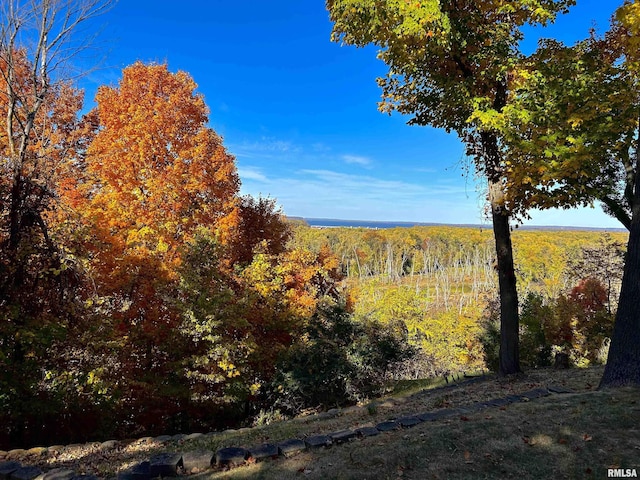 7 Sharon Ln, Fulton, IL 61252 - view of tree filled area