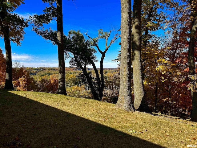 7 Sharon Ln, Fulton, IL 61252 - view of grassy yard