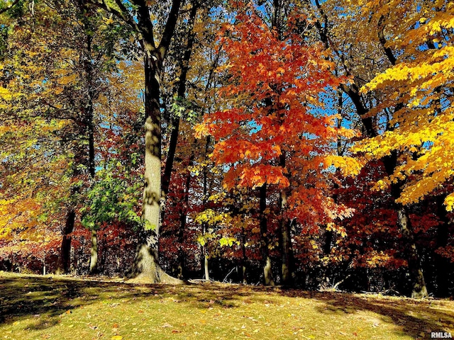 7 Sharon Ln, Fulton, IL 61252 - view of yard