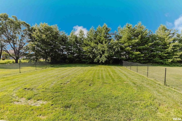 1710 Broeking Rd, Marion, IL 62959 - view of yard