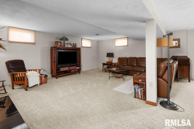 27329 N 2050th Ave, Annawan, IL 61234 - photo 34