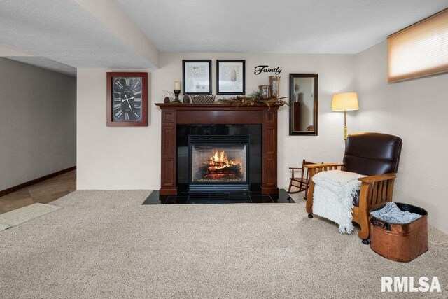 27329 N 2050th Ave, Annawan, IL 61234 - photo 36