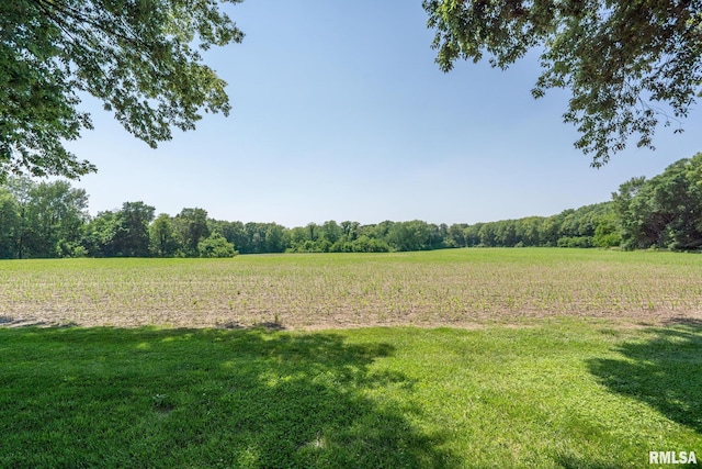 807 18th St, Rapids City, IL 61278 - photo 37