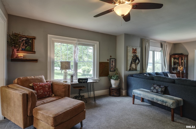 115 4th St, Fulton, IL 61252 - living area featuring plenty of natural light, carpet flooring, and a ceiling fan