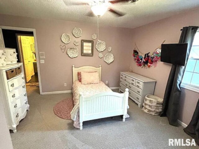504 Arbor Dr, Carterville, IL 62918 - photo 17