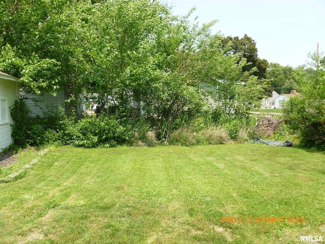 3117 25th Ave, Rock Island, IL 61201 - photo 35