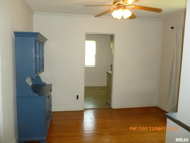 3117 25th Ave, Rock Island, IL 61201 - photo 8
