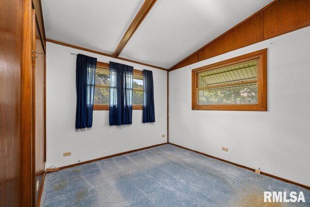 14003 W 78th Ave, Taylor Ridge, IL 61284 - photo 25