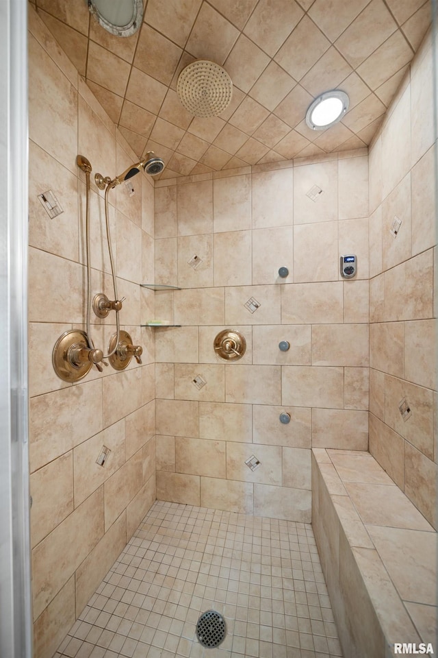 5 High Point Pl, Bettendorf, IA 52722 - bathroom featuring a tile shower