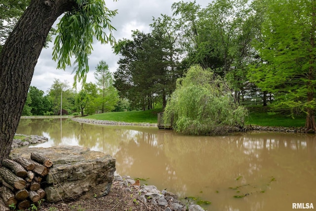 1300 W Brewster Rd, Herrin, IL 62948 - water view