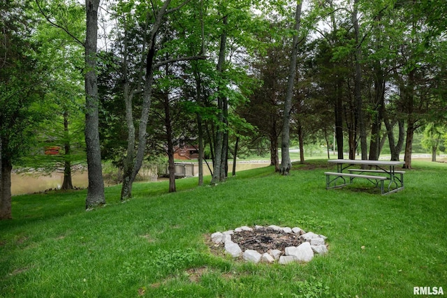 1300 W Brewster Rd, Herrin, IL 62948 - view of home's community with a yard and a fire pit