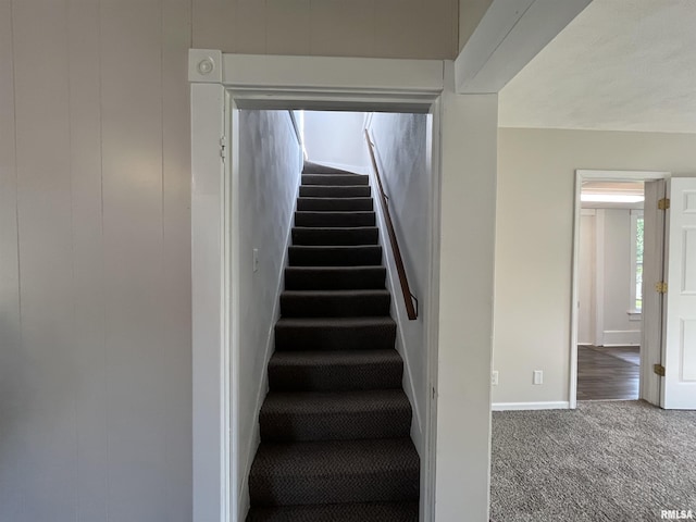 212 S E St, Cambridge, IL 61238 - stairs featuring carpet and baseboards