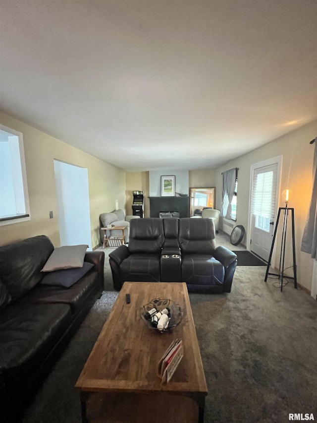 329 S Oakwood Ave, Geneseo, IL 61254 - photo 6