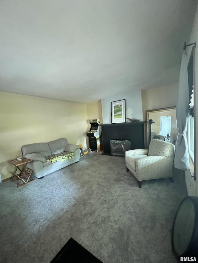 329 S Oakwood Ave, Geneseo, IL 61254 - photo 7