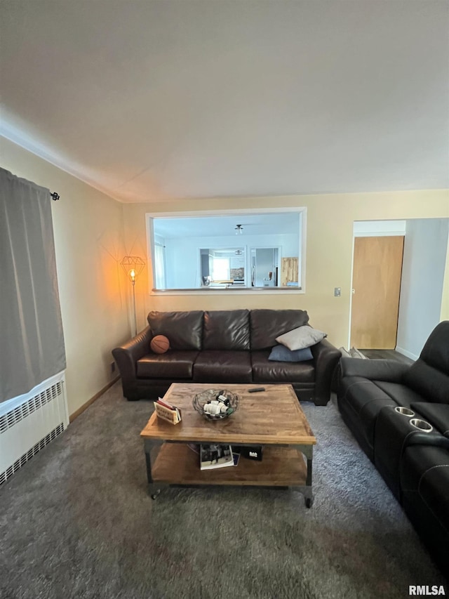 329 S Oakwood Ave, Geneseo, IL 61254 - photo 8