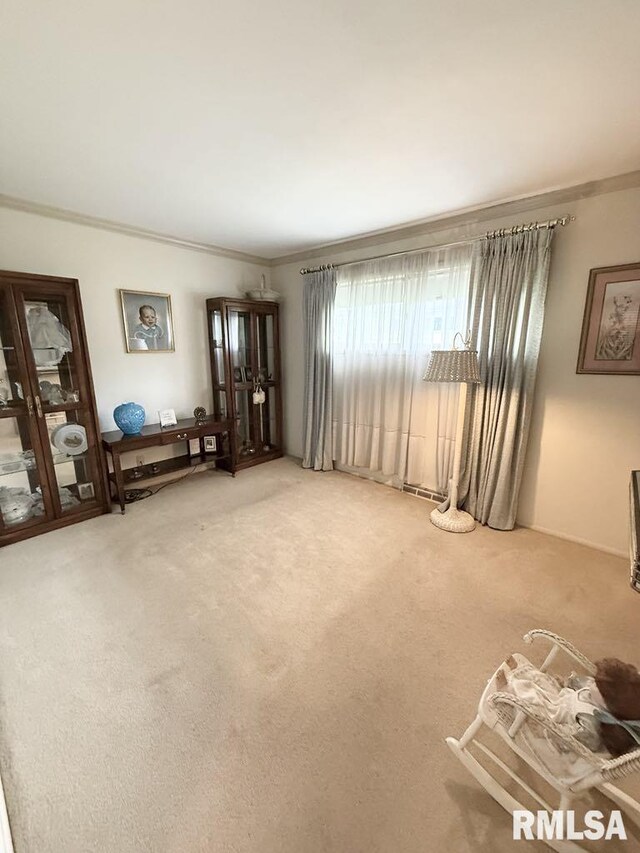 1701 Julianne Dr, Marion, IL 62959 - unfurnished living room with ornamental molding and light colored carpet