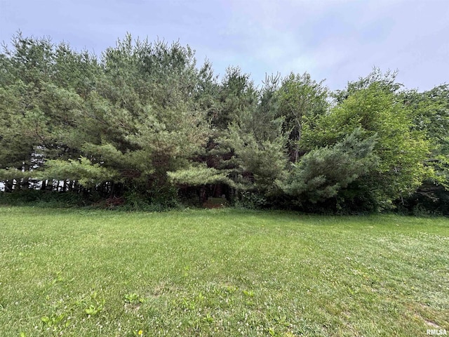 131 Broadway St, Charlotte, IA 52731 - photo 4