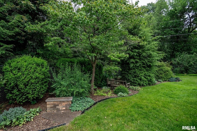 3628 15th Avenue Ct, Moline, IL 61265 - photo 44