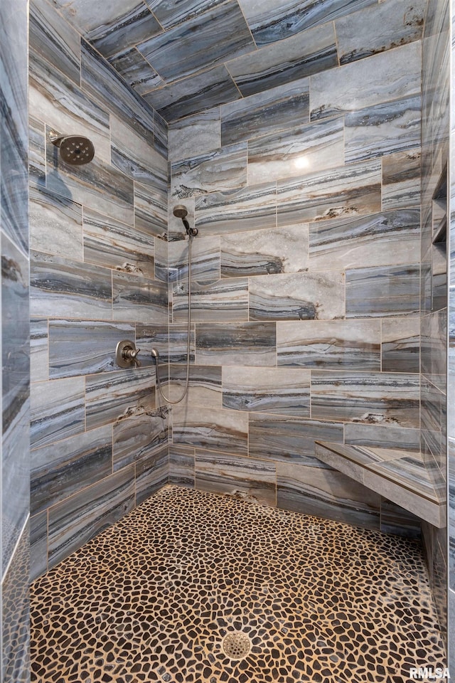 5541 Pigeon Creek Rd, Bettendorf, IA 52722 - full bath featuring a tile shower