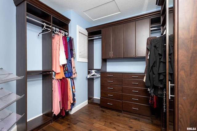 5541 Pigeon Creek Rd, Bettendorf, IA 52722 - spacious closet with attic access and dark wood finished floors