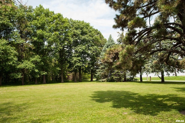 3770 153rd St, Blue Grass, IA 52726 - view of community featuring a yard