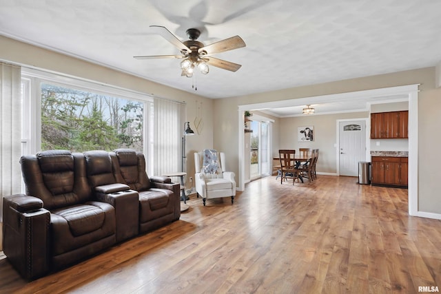 3770 153rd St, Blue Grass, IA 52726 - living area featuring healthy amount of natural light and light wood-type flooring