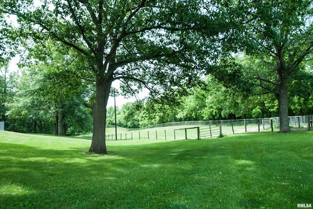 3770 153rd St, Blue Grass, IA 52726 - view of yard