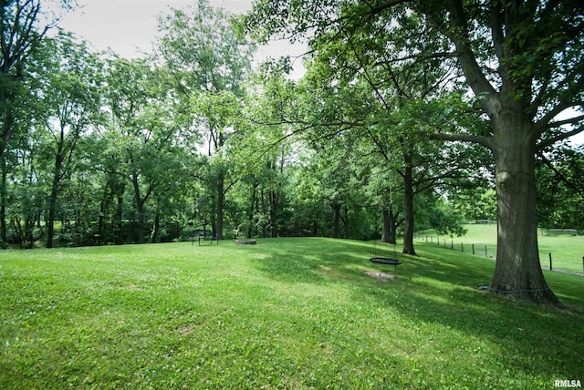 3770 153rd St, Blue Grass, IA 52726 - view of yard