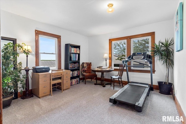3292 110th St, Stockton, IA 52769 - workout area featuring carpet and healthy amount of natural light