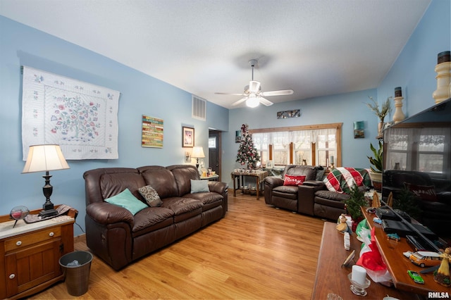 204 Bracey St, Marion, IL 62959 - living room with light wood-type flooring and a ceiling fan
