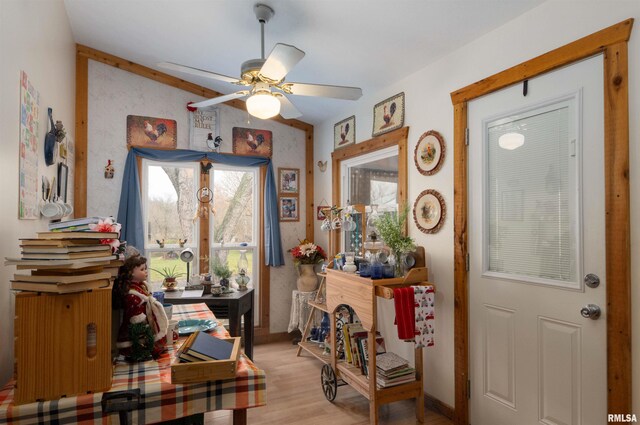 204 Bracey St, Marion, IL 62959 - foyer entrance featuring a ceiling fan and light wood-style flooring