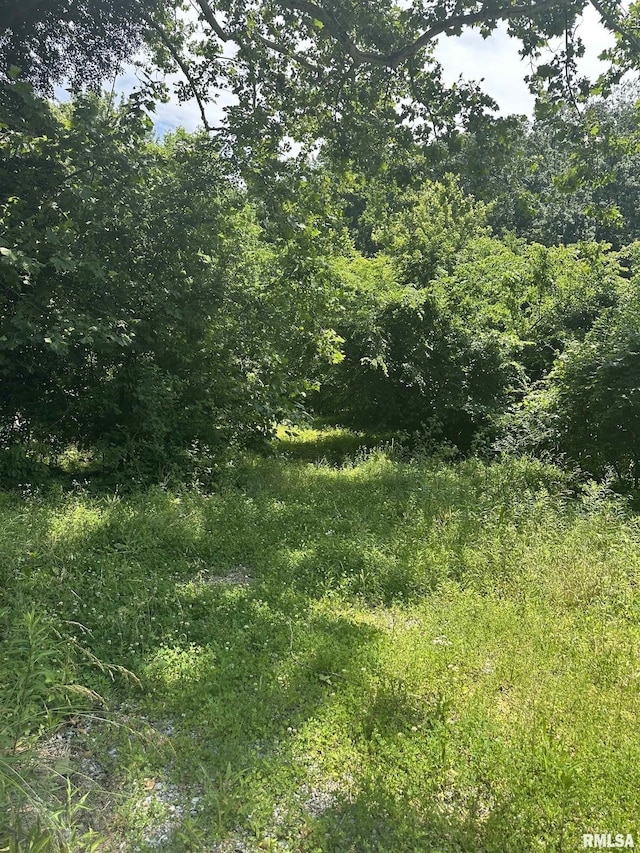 585 Berryville Rd, Jonesboro, IL 62952
