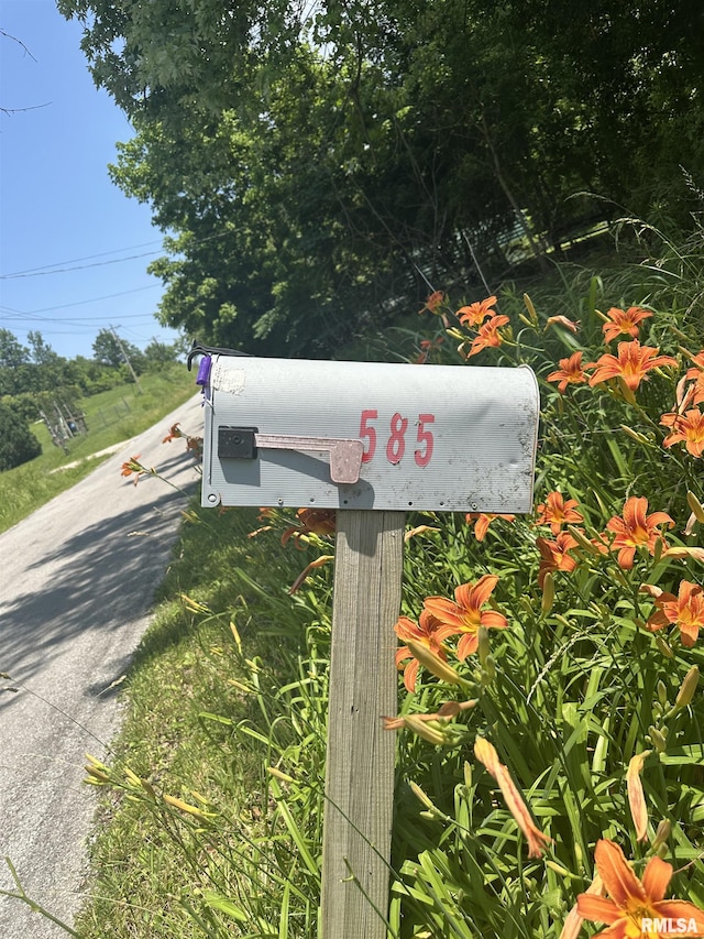 585 Berryville Rd, Jonesboro, IL 62952