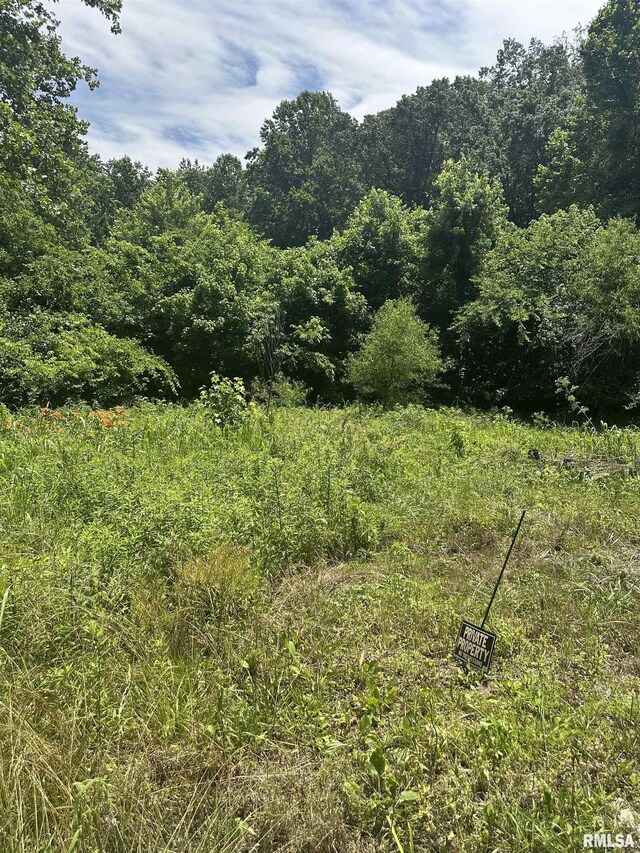 585 Berryville Rd, Jonesboro, IL 62952