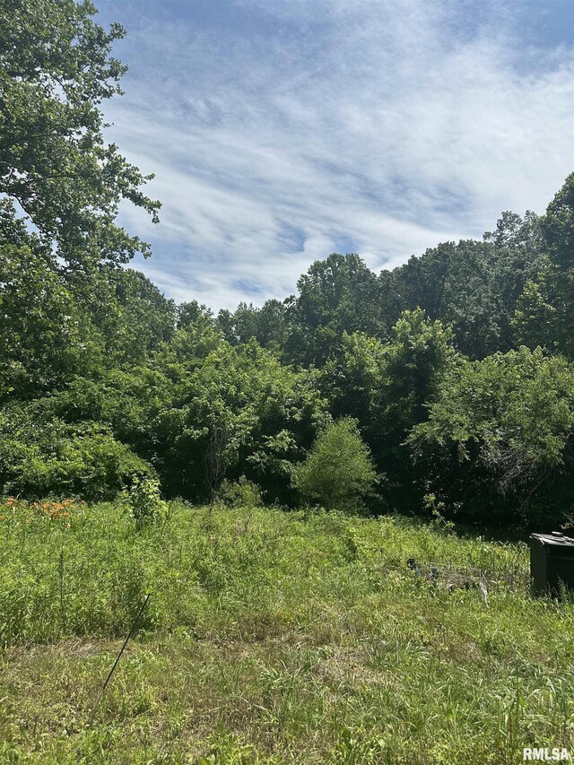 585 Berryville Rd, Jonesboro, IL 62952