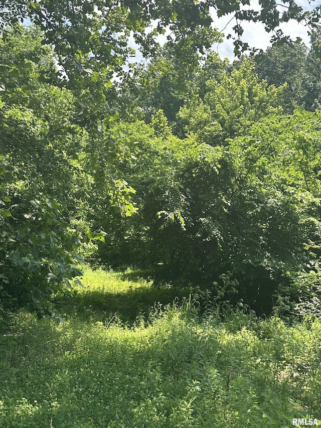 585 Berryville Rd, Jonesboro, IL 62952