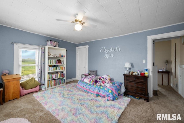 2156 Ridge Rd, Reynolds, IL 61279 - photo 13