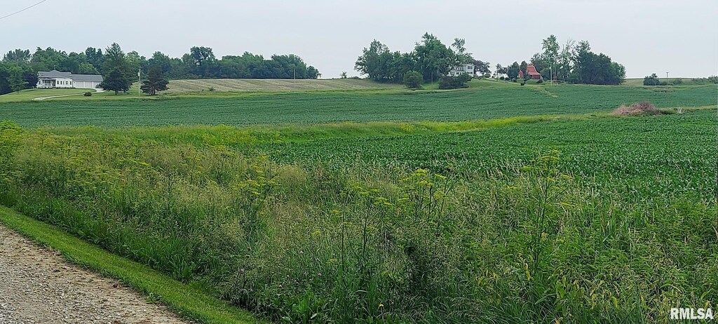 16230 W 168th St, Taylor Ridge, IL 61284 - photo 2