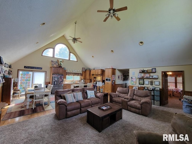 313 Double C Farm Ln, Dongola, IL 62964 - carpeted living room featuring ceiling fan and high vaulted ceiling