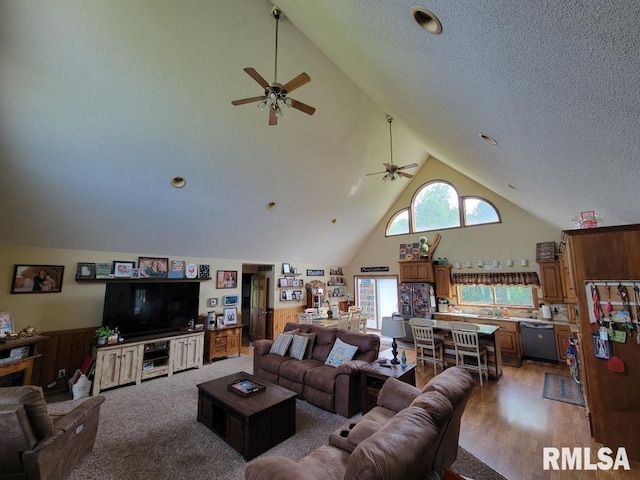 313 Double C Farm Ln, Dongola, IL 62964 - living area featuring ceiling fan, high vaulted ceiling, and light wood-type flooring