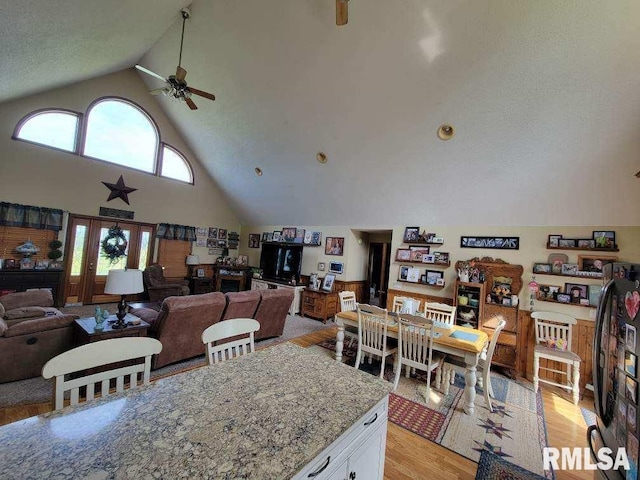 313 Double C Farm Ln, Dongola, IL 62964 - dining space featuring high vaulted ceiling, a ceiling fan, and light wood finished floors