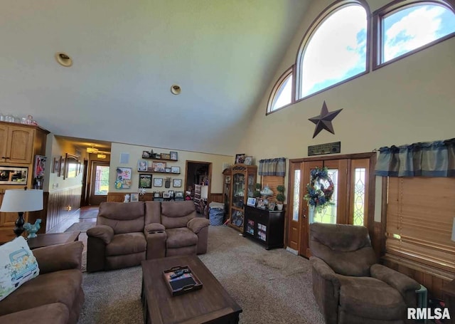 313 Double C Farm Ln, Dongola, IL 62964 - living area featuring high vaulted ceiling and carpet floors