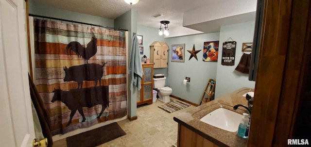 313 Double C Farm Ln, Dongola, IL 62964 - bathroom featuring vanity, curtained shower, and a textured ceiling