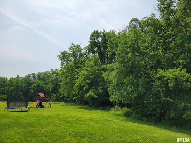 313 Double C Farm Ln, Dongola, IL 62964 - view of grassy yard with a trampoline and a playground