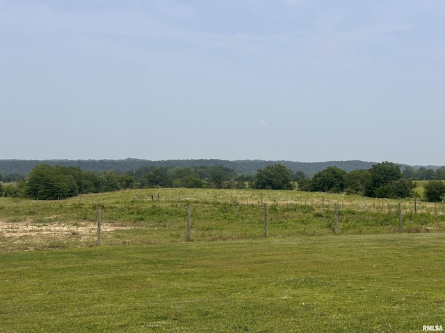 313 Double C Farm Ln, Dongola, IL 62964 - view of green lawn with a view of rural / pastoral area
