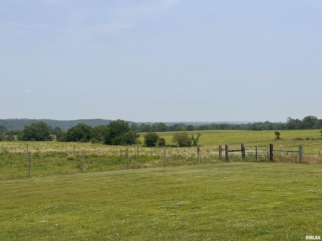 313 Double C Farm Ln, Dongola, IL 62964 - view of yard featuring a view of rural / pastoral area